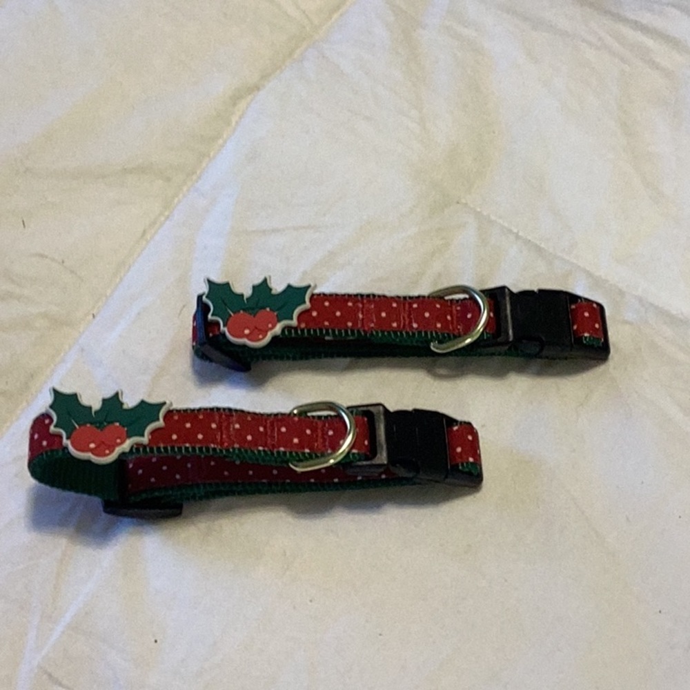 Dog or Cat Collars.